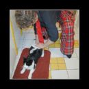 CLIQUER POUR AGRANDIR